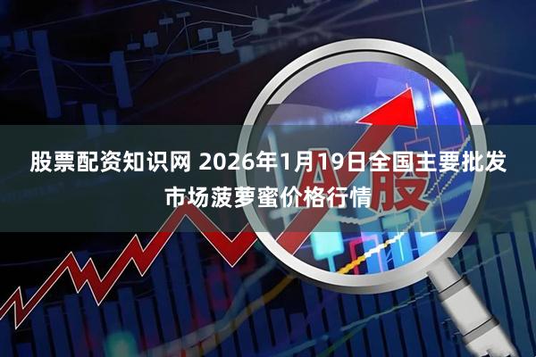 股票配资知识网 2026年1月19日全国主要批发市场菠萝蜜价格行情