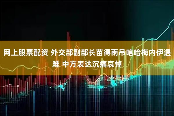 网上股票配资 外交部副部长苗得雨吊唁哈梅内伊遇难 中方表达沉痛哀悼